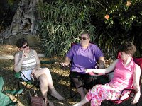 Arntz-Simon Picnic